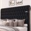 Kanisha Upholstered Storage Bed with Button Tufted Flannel Headboard, 4 Drawers-533601484-533601485