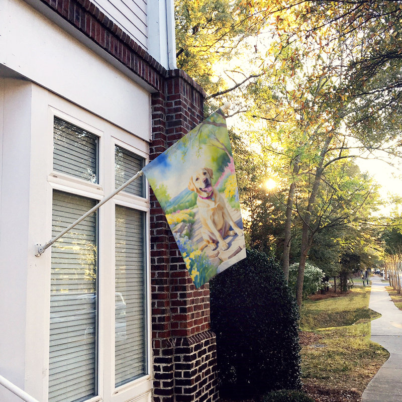 Taisi Double Sided 40'' H x 28'' W Polyester House Flag