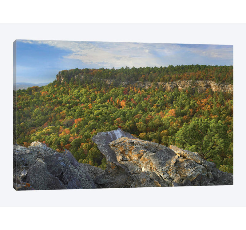 « petite jean state park, arkansas », reproduction de photo sur toile, H 12 po x l 18 po x P 1,5 po