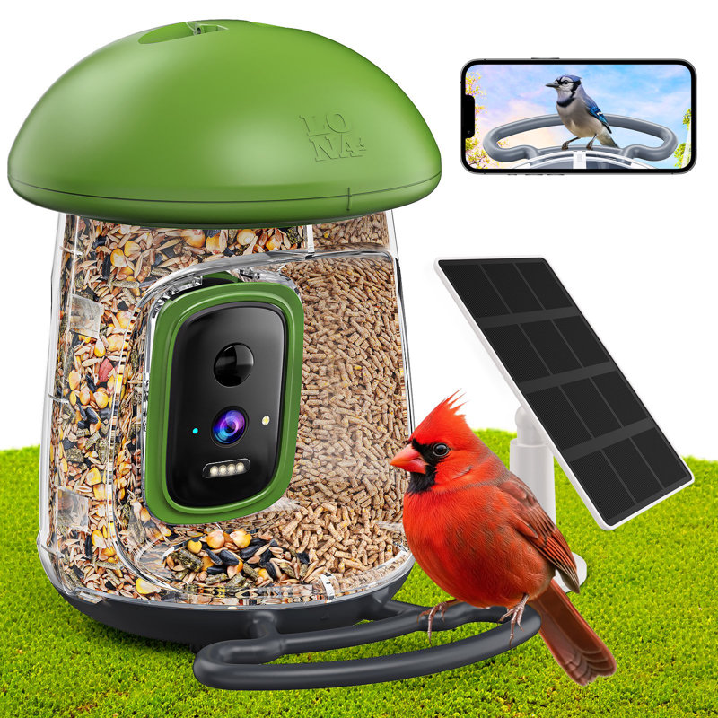 Mangeoire pour oiseaux avec appareil photo Lona