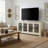 Ariba Traditional Mirrored Door TV Stand with Storage for 75" TVs-920440055