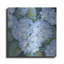Luxe métal Art «Blue Hydrangeas II» par Tim O'Toole «Luxe métal Art« Blue Hydrangeas II »par Tim O'Toole