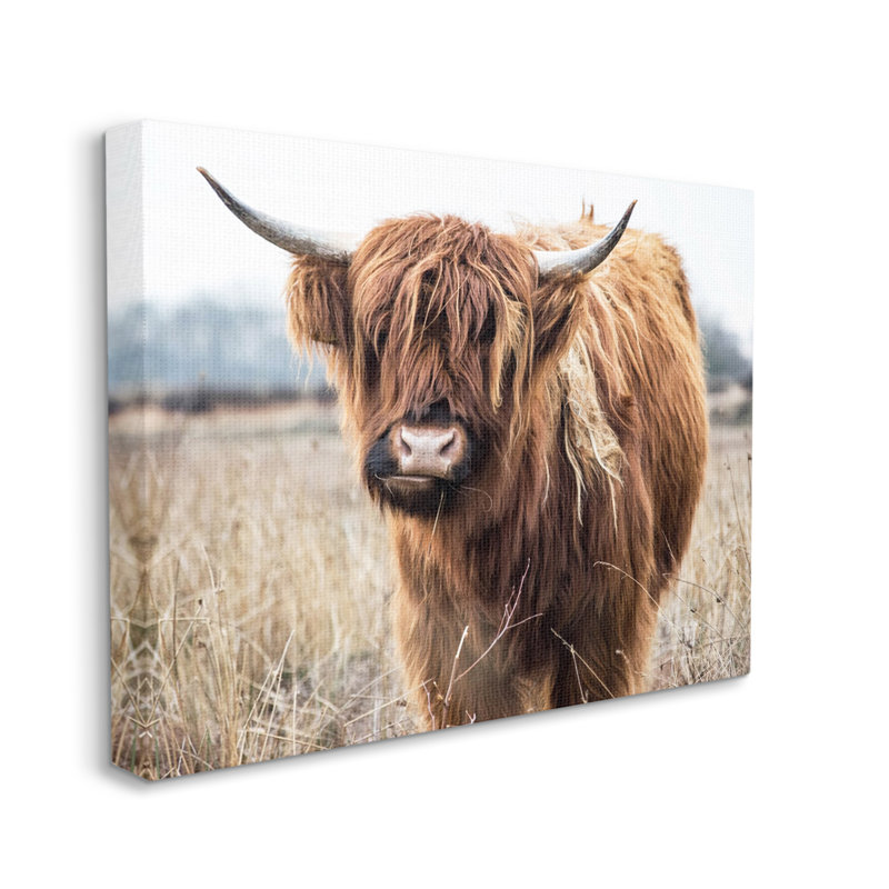 Portrait de bovins qui broutent des cornes par Amy Brinkman, L 20 po x H 16 po, Toile tendue