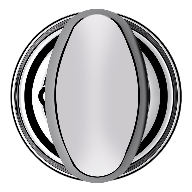 Privacy Polished Chrome Egg