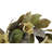 24-inch Artificial Magnolia Pine Thanksgiving Wreaths
