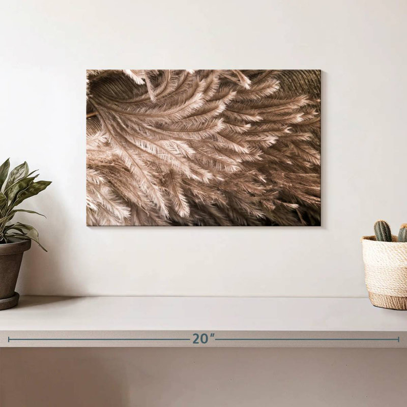 Brampt Ostrich Feathers, 8" H x 12" W