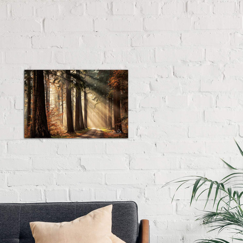 Fresh Autumn Light by Martin Podt - Wrapped Canvas Print, 66.04 cm H x 45.72 cm W x 3.175 cm D