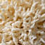 Véritable nid d'oiseau corail (3,5 lb)