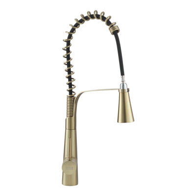 Belfry Kitchen Dunfee Pull Out Kitchen Faucet