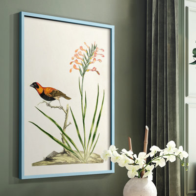 Bird in Habitat III, reproduction encadrée - bois massif