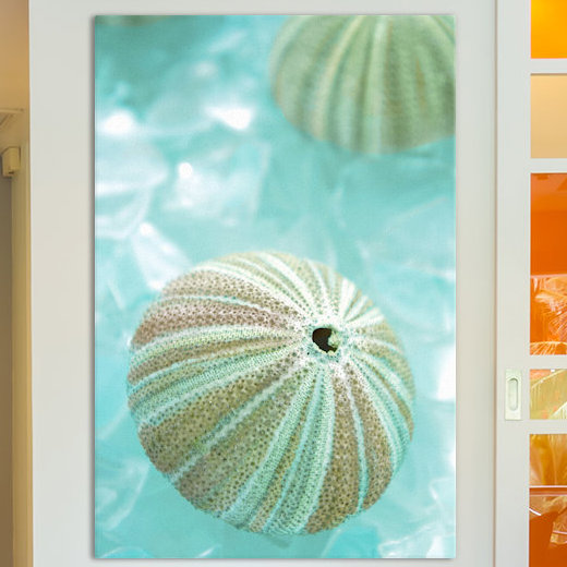 «Seaglass 4» par Alan Blaustein - Estampe numérique sur toile tendue avec châssis, H 12 po x l 8 po x P 0,75 po