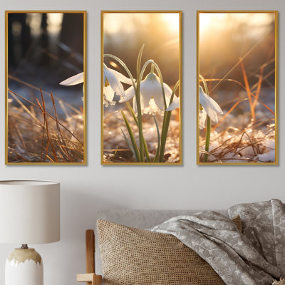 «Snowdrops Sunrise In Winter - Snowdrops», ensemble de reproduction d'art mural