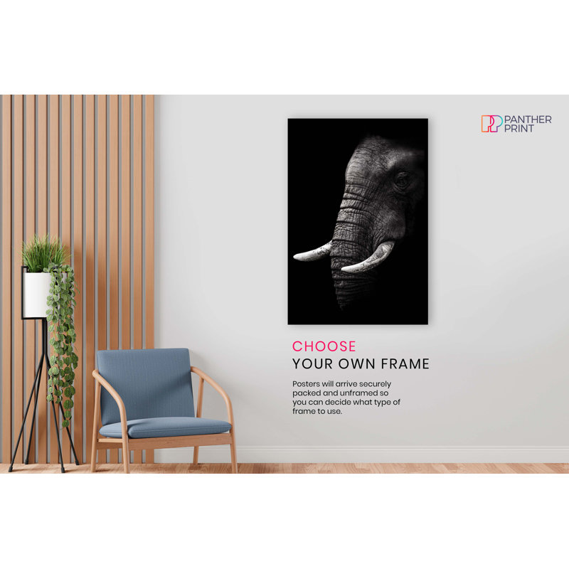 Old Wrinkled Elephant Portrait - No Frame Print, 76cm H x 51cm W