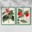 Impression encadrée FloraOf TheTropicsI-Premium - prête à être accrochée - aucun clou requis - aucun clou requis-108001197-108001200