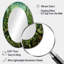 Miroir mural Herbs-1746021394