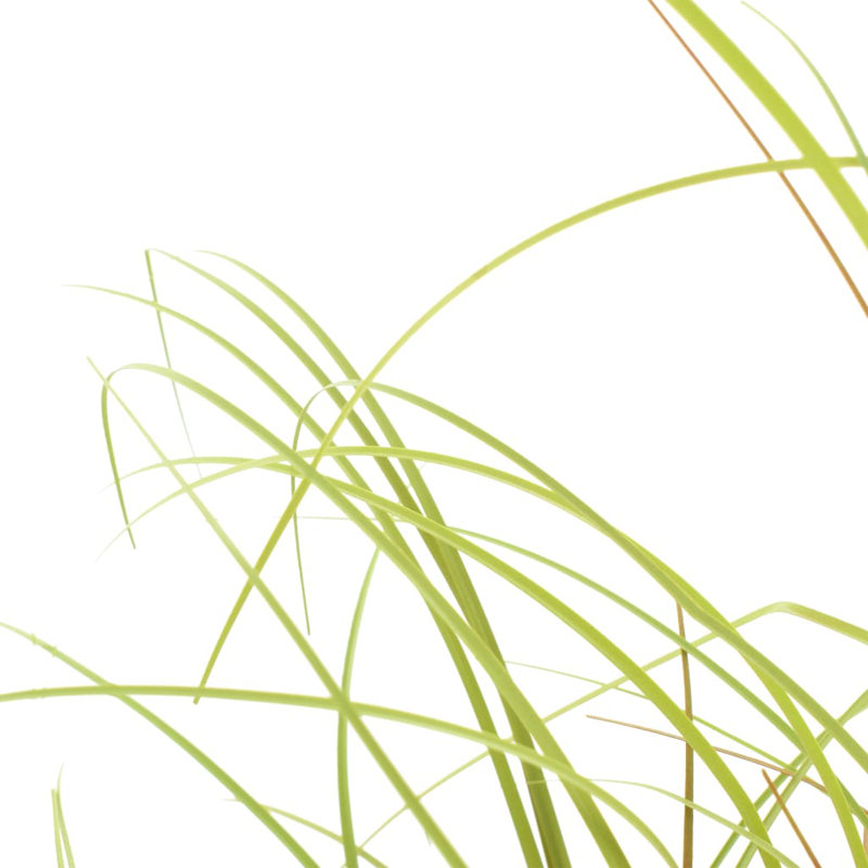 Faux Foliage Grass in Planter, 95cm H x 15cm W x 15cm D