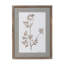 Framed Botanical Print