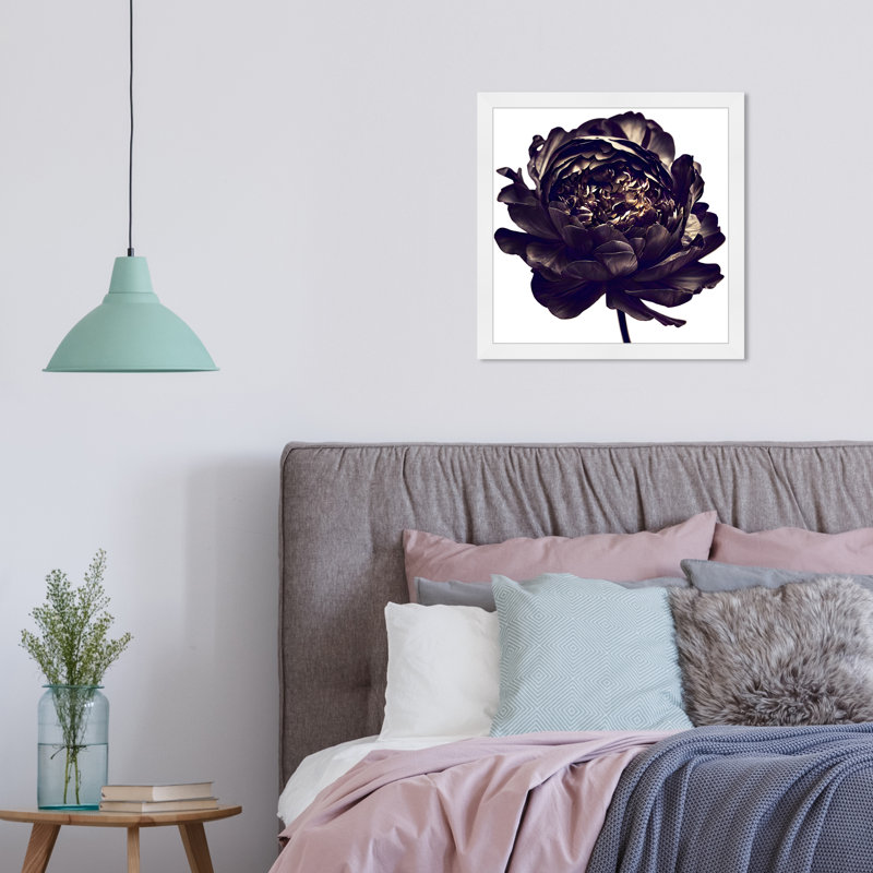 Pivoine noire - cadre photo, H 18 po x l 18 po, Cadre blanc