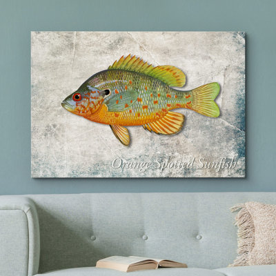 Fish " Orange Sunfish On Granite Background Marine Life Animals Realism Nautical Ultra "