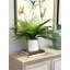 Outdoor UV Rated Palm in Fiberstone Pot