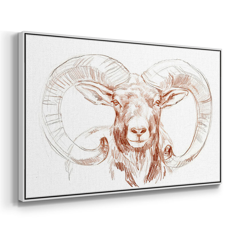«Big Horn Sheep I», peinture sur toile encadrée, H 17 po x l 25 po x P 2 po, Cadre blanc