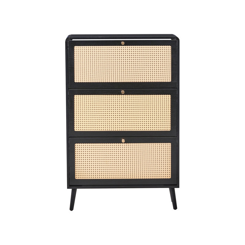 12 Pair Shoe Storage Cabinet