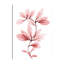 "Coral Wonder 1" par Albert Koetsier, reproduction d’art sur toile-873025134-846038998
