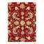 Oriental Area Rug in Peach