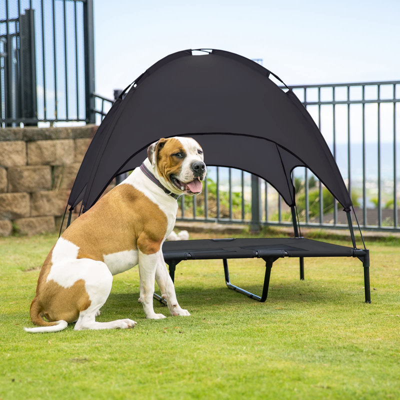 Lit pour chien X Large, Noir