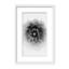 X-Ray Print by Alex Zhao-81386832-131284558-131292248