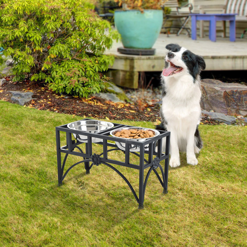 Elevated Double Stainless Steel Pet Feeding Station with Iron Frame