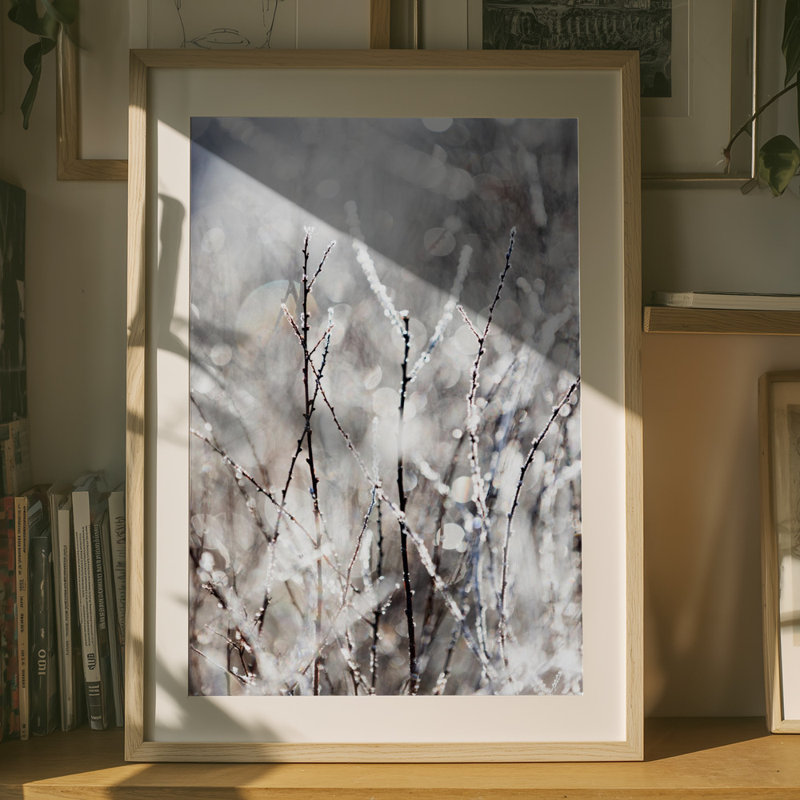 Wrapped Canvas Print, 76.2 cm H x 50.8 cm W