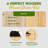 Oliviagrace Wood Elevated Planter