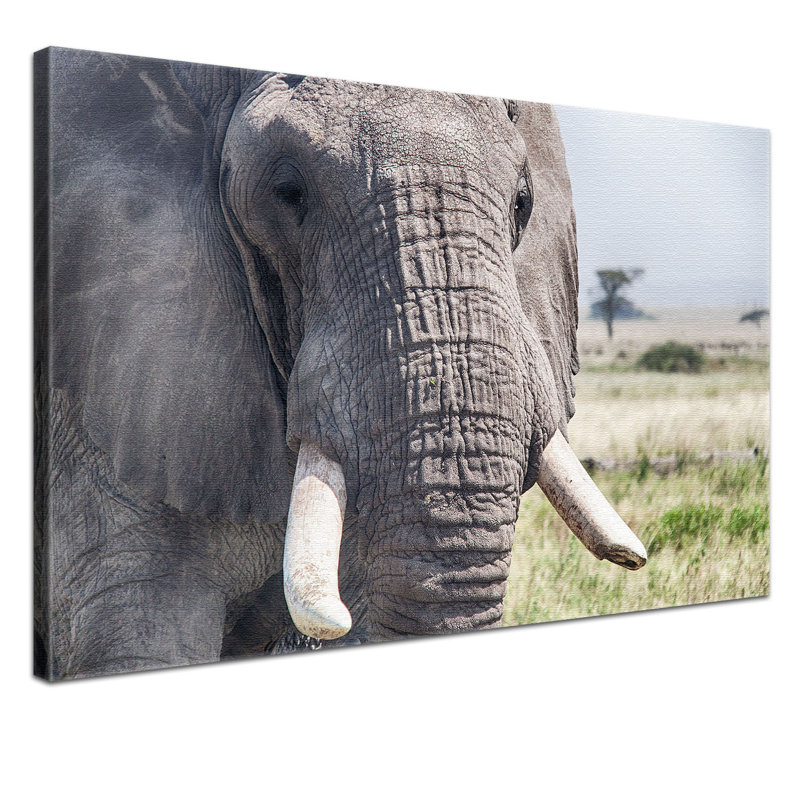 Print on Canvas, 100cm H x 150cm W