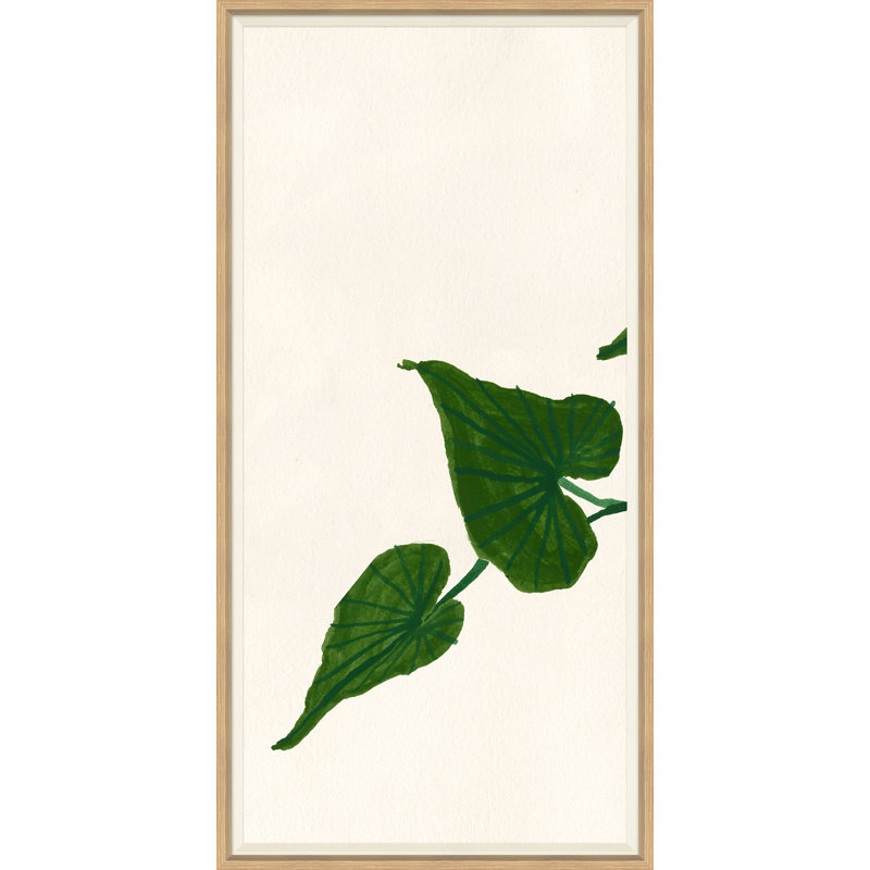 Ivy I Giclee Print by Susan Hable