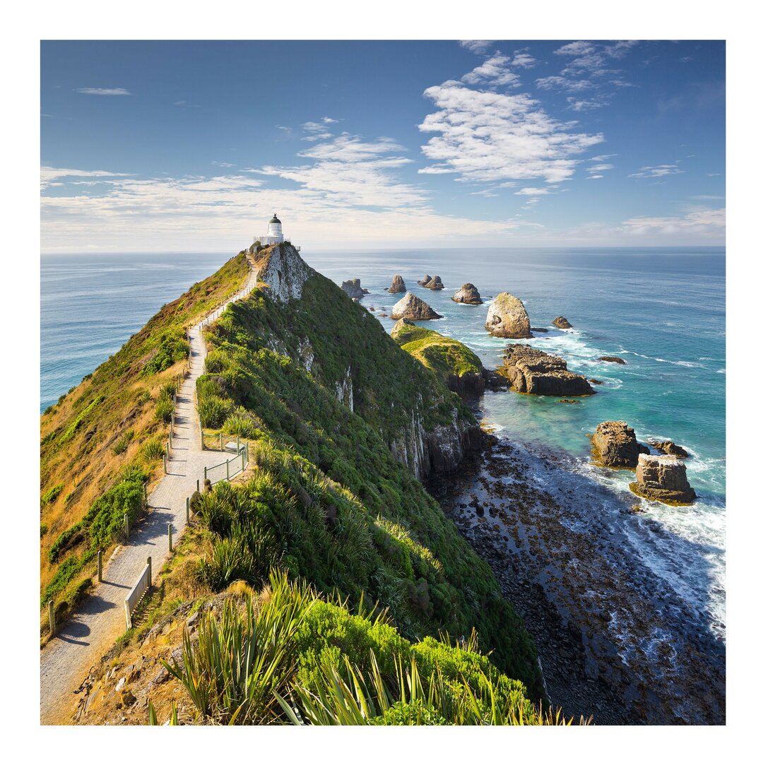 Matte Fototapete Leuchtturm Nugget Point Leuchtturm und Meer Neuseeland