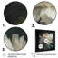 Blooming White Peony V - Art mural pivoine-16144150-16144149-48209912