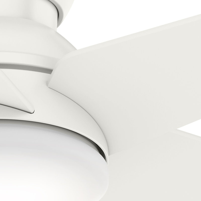 52" Isotope 5 - Blade LED Flush Mount Ceiling Fan with Wall Control and Light Kit Included, Fresh White