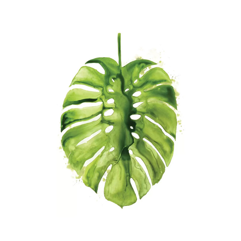 Monstera I by Grace Popp - Wrapped Canvas Painting, 152.5 cm H x 101.5 cm W