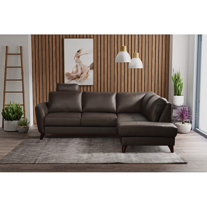 Migues Genuine Leather Corner Sofa with Sleeping Function and Storage, Brown, Right Hand Facing