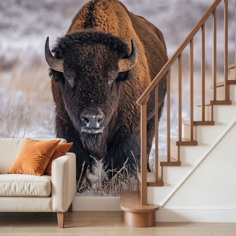 Papier peint adhésif pelez et collez, bison américain majestueux, debout, enneigé, hiver, prairie, art mural, auto-adhésif et amovible