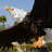 Majestic Eagle Perched Statue