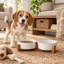 Ensemble de 2 bols en céramique pour chien avec support en bois d'acacia