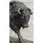 Figurine Isidoros signée Barye Buffalo