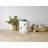 Pfaltzgraff Winterberry Polar Bear Cannister
