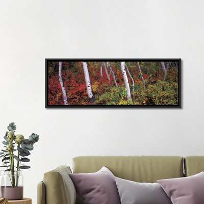 Panoramic Trees in a Forest Photographic Print on Wrapped Canvas
