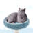 Keeble 72.5″ H Ocean-themed Cat Tree