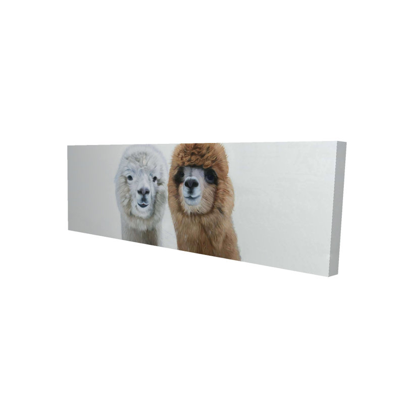 Two Lamas - Bedroom Farm Animals Canvas for Home Decor