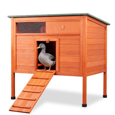 Insulated Duck House Outdoor