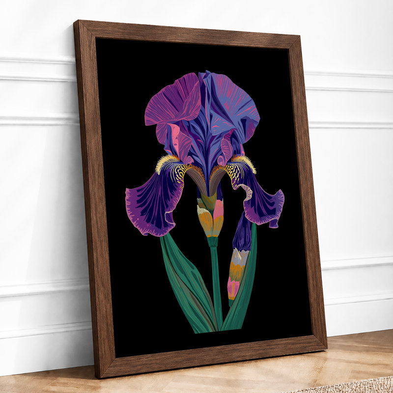 Purple Iris in Bloom Botanical - Framed Print, Walnut, A1 - 84.1 x 59.4 cm